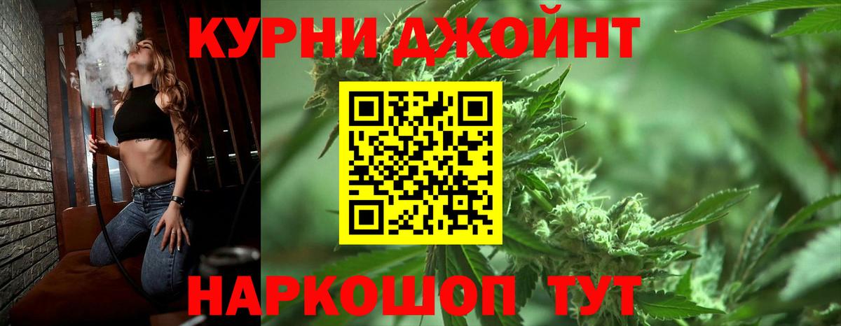 Каннабис индика Королёв